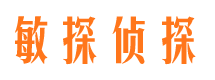 金城江侦探公司